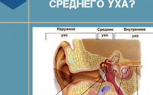 Что показывает КТ среднего уха?